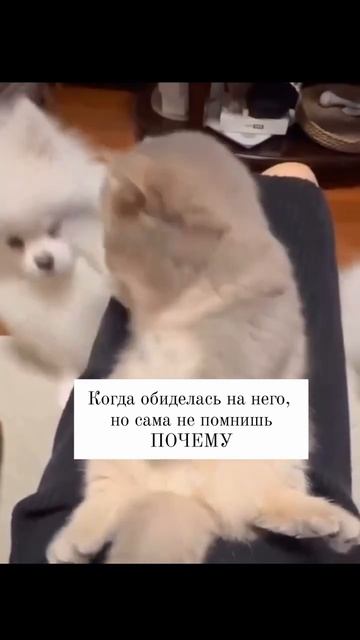 Знакомо?😅