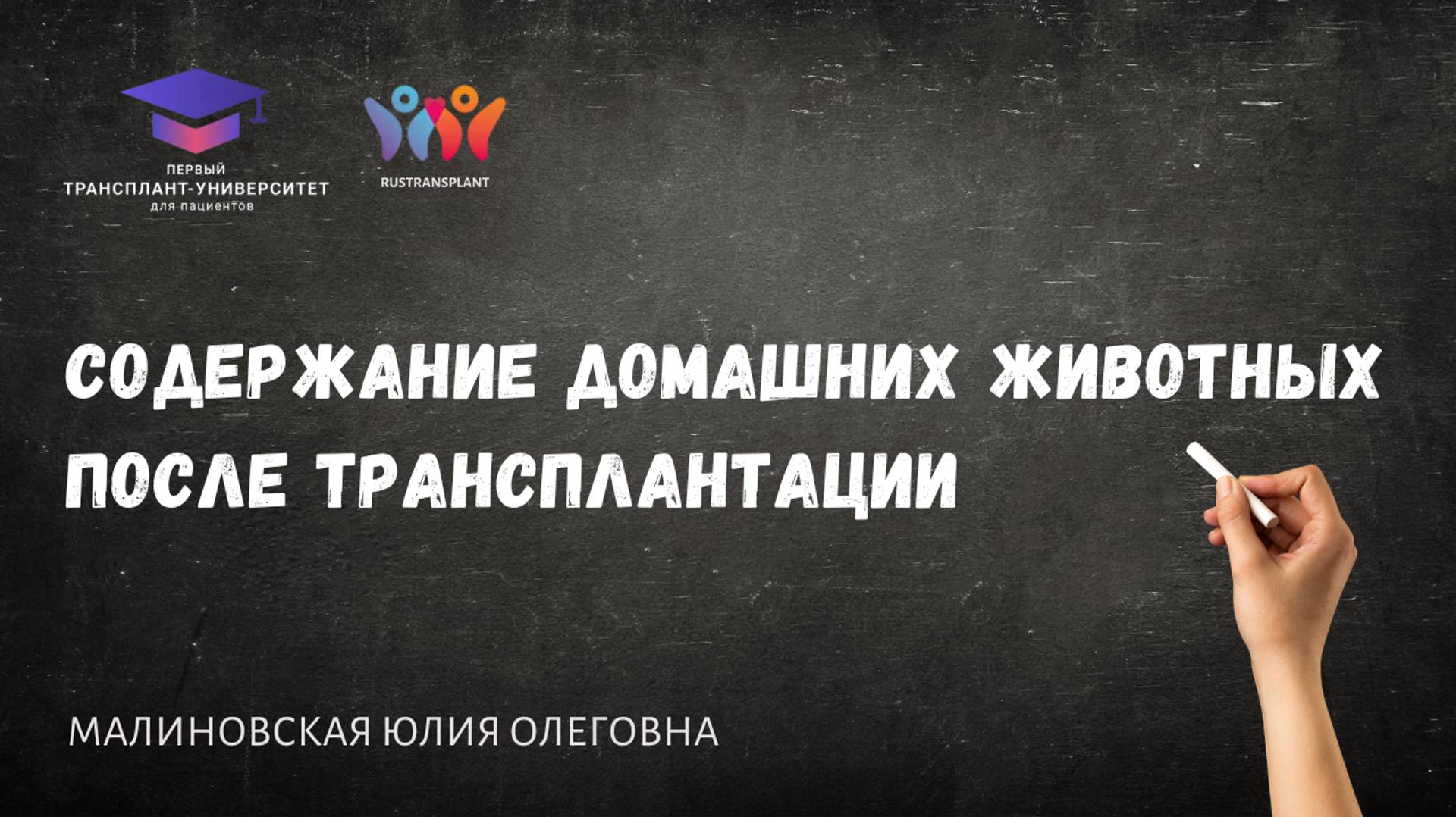 Содержание домашних животных после трансплантации. Малиновская Ю.О.