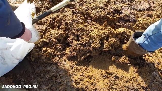 Коровий навоз в мешках.mp4