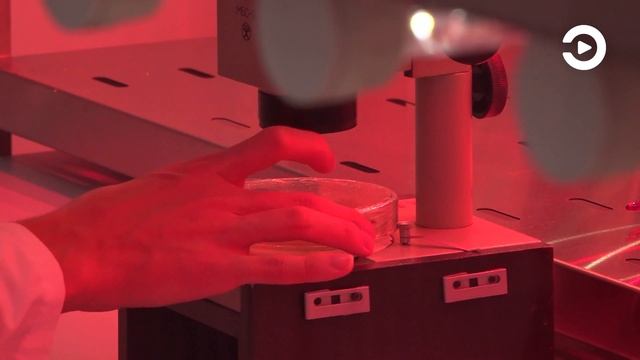 В Пензенском аграрном университете отметили День российской науки
