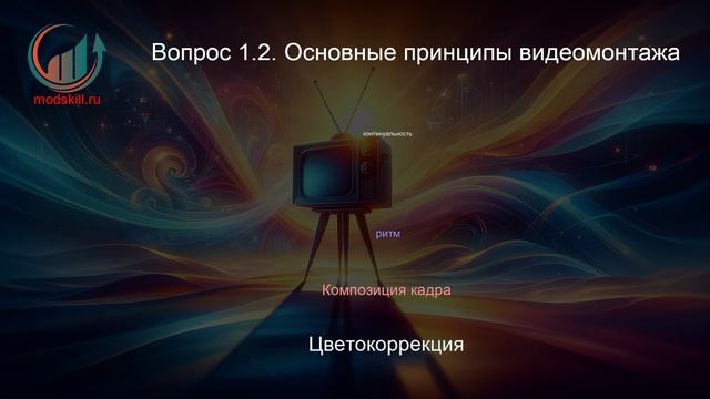 Телевидение. Профпереподготовка. Лекция. Профессиональная переподготовка для всех!