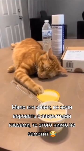 😂😂😂