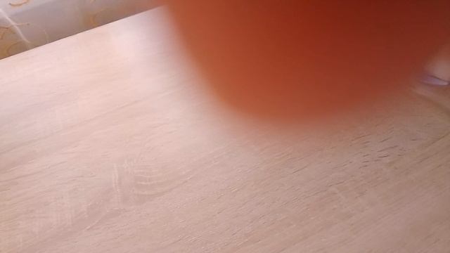 VID_20250211_175217.mp4