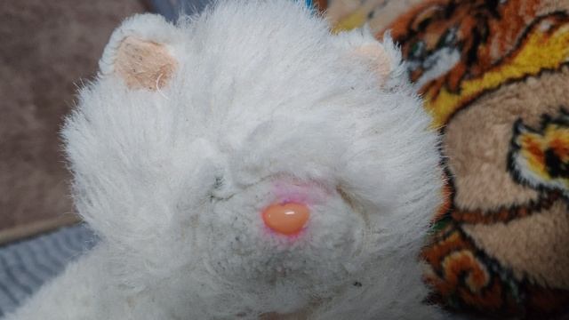 Белый плюшевый котенок спел задорную зимнюю песенку, детские игры