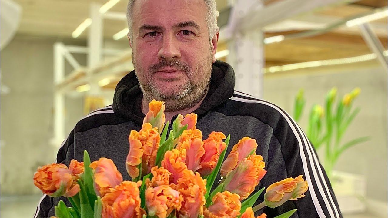 Огород как доход. 1 000 000 на тюльпанах!