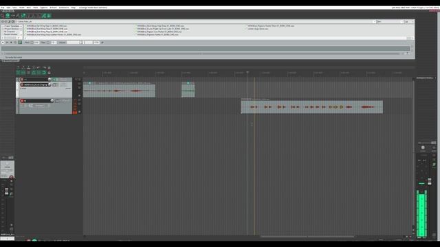 birds_demo