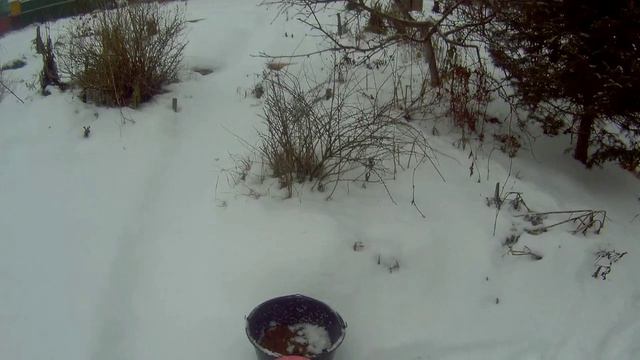 цена топлива и дача17г