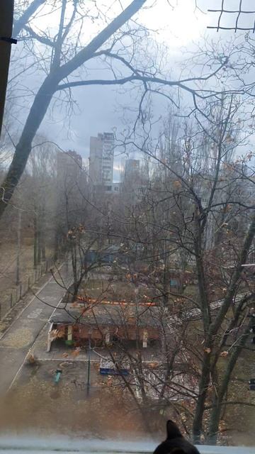 ПОГОДА