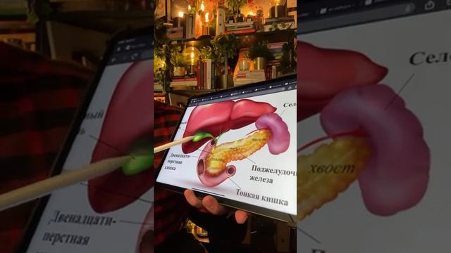 Пей этот КОКТЕЙЛЬ для кишечника и здорового ЖКТ!
