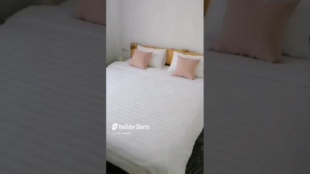 29 октября 2024 г..mp4