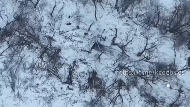 На Купянском направлении российские войска используют роботизированные комплексы для доставки