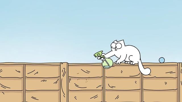 Борьба котов| Смешные котики
