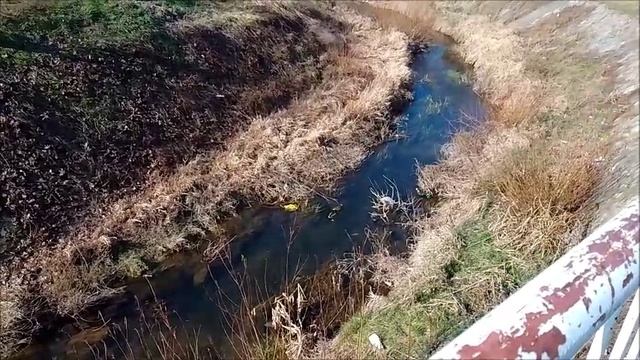 Reka Ravanica - Ćuprija 09.02.2025