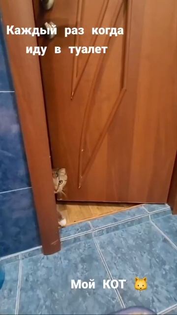 Мы в ВК https://vk.com/life_of_cats