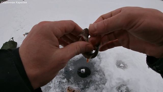 Рыбалка в Карелии. Окунь на Мормышку и Блесну. Незнакомое лесное озеро. Термосы Арктика на Рыбалке
