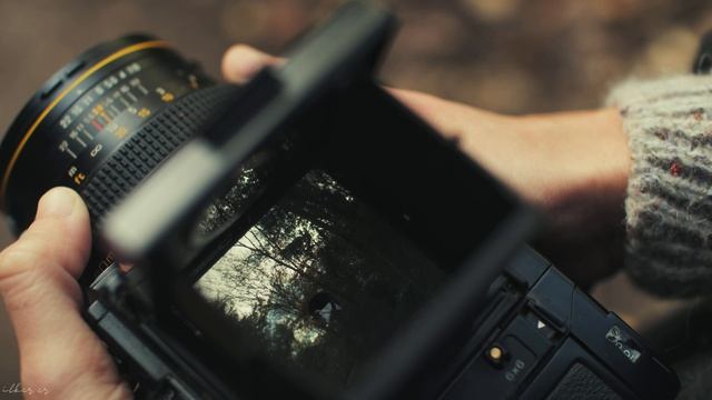 From Raw to Cinematic BRAW Footage Before & After Color Grading