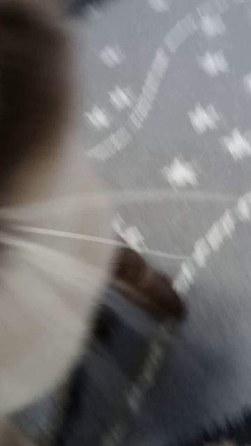 1000016477.mp4