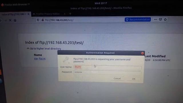 Servicio FTP y TFTP