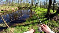 МОЯ ЛЮБИМАЯ МИКРО РЕЧКА НАЧАЛО ЛЕТА!!!