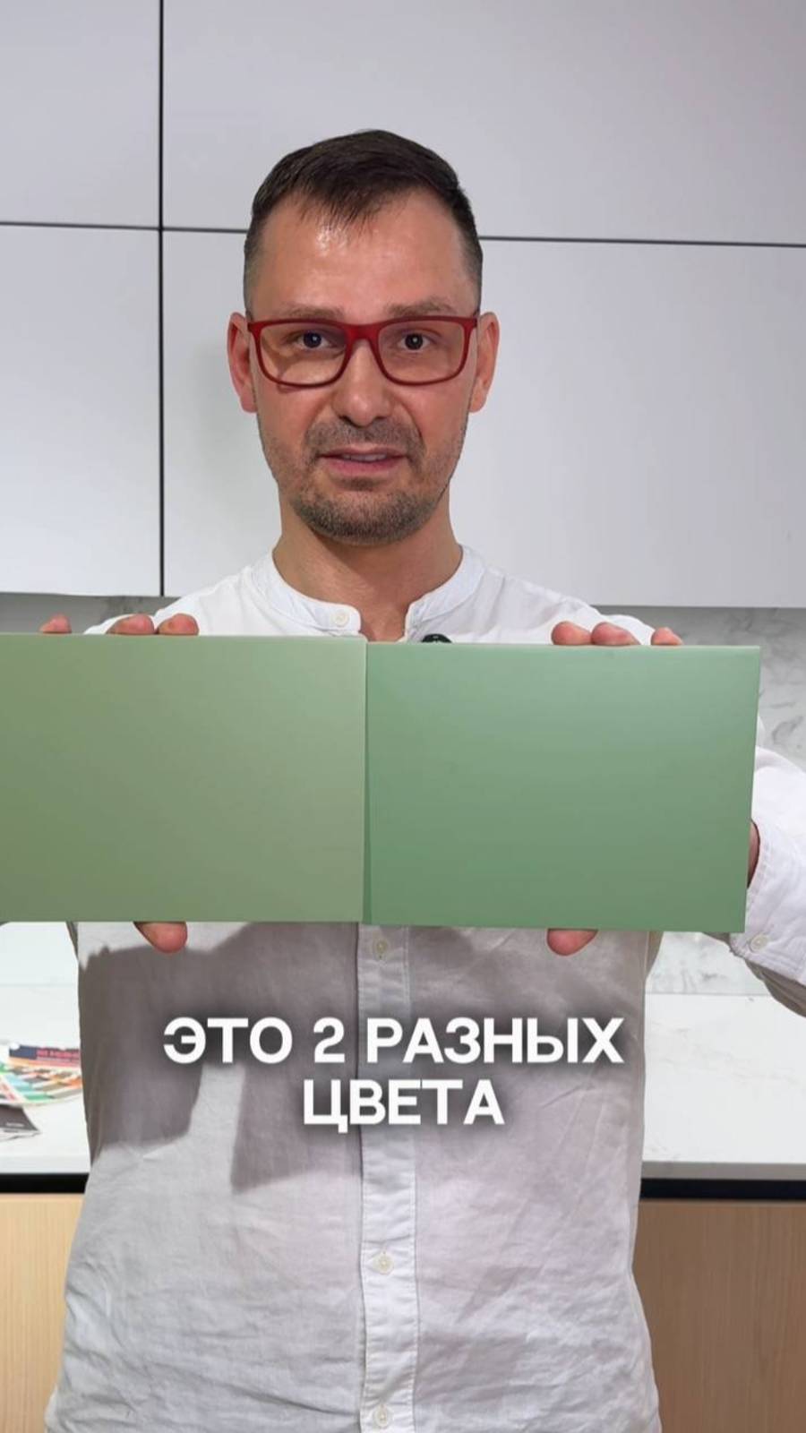 Тгк: Baragozzza // Как появилась цветовая палитра Pantone?