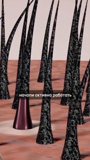 Самый вредный совет для волос