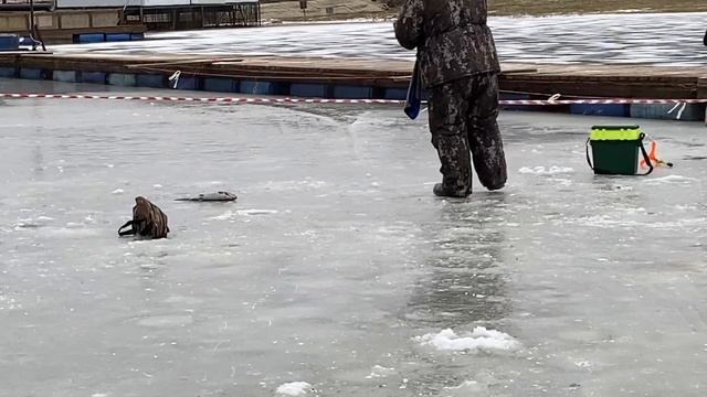 Путаница снастей и поимки форели