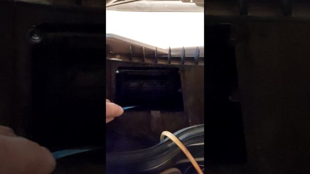 1000005625.mp4