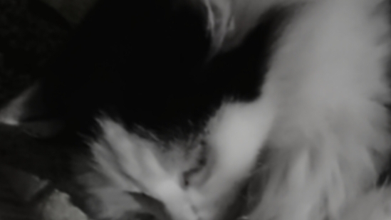 11-02-2025