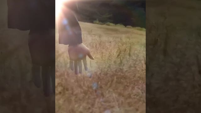"Город 312"- Светлана Захаренко. Останусь пеплом на губах"