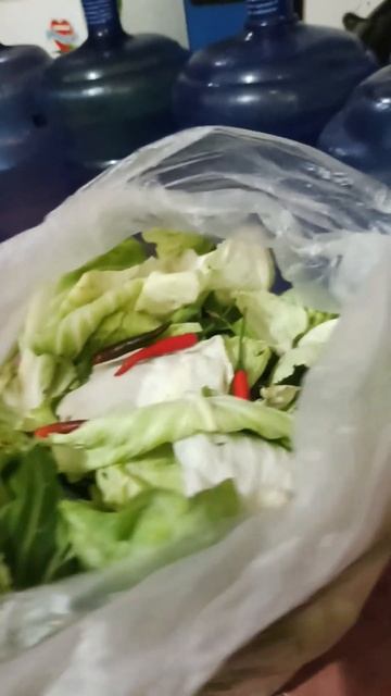 Cabbage for my Rabbit #cabbage