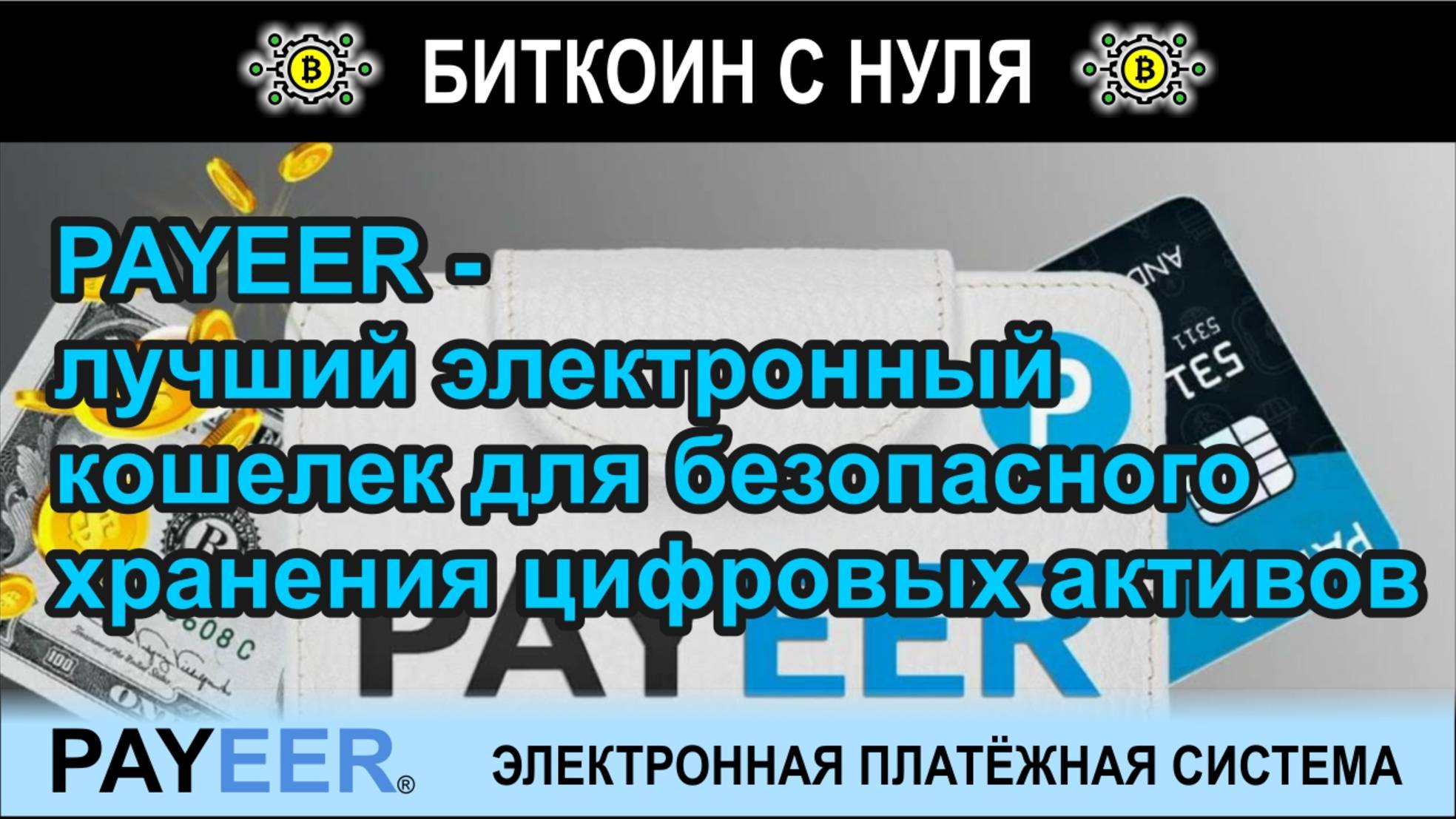 PAYEER - лучший электронный кошелек для безопасного хранения цифровых активов в 2025 году. Обзор.