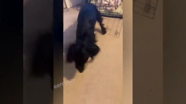 1000058377.mp4