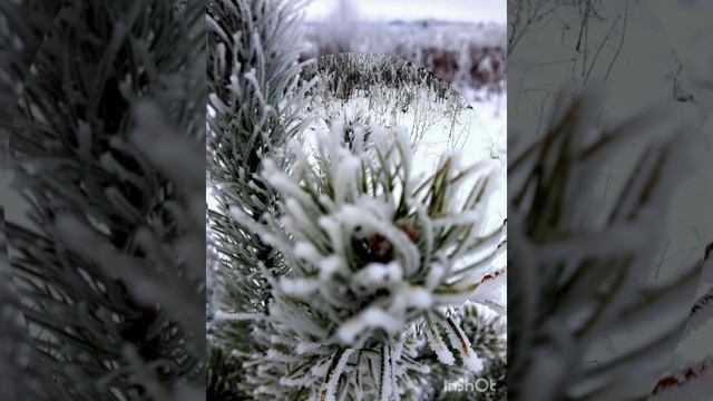 11-02-2025 Февральский листик на ветру