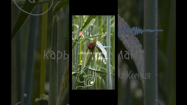 песня "Карьера и талант", новая песня от певицы Кани Ксении
