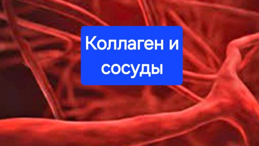 11-02-2025