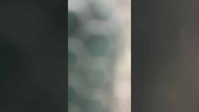 11-02-2025