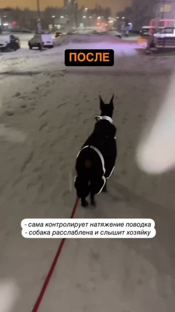 Отзыв с Программы | Катя и Афина