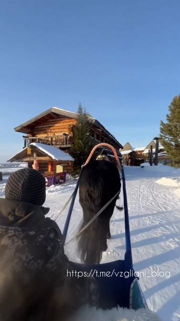 Сказка в суровой Сибирской деревне Абалак🏘🌲❄️https://t.me/vzgliani_blog #snow #travel #video #shor