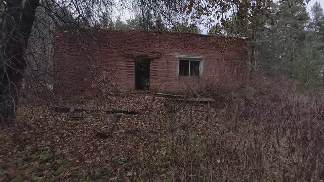 Заброшенная зоологическая база Госфильмофонда. Леоново. Владимирская обл. (8.11.2024)