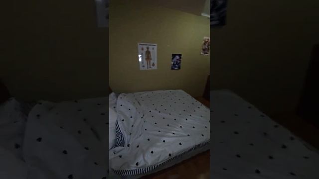 аренда 2шка химиков 12а Рошаль таня