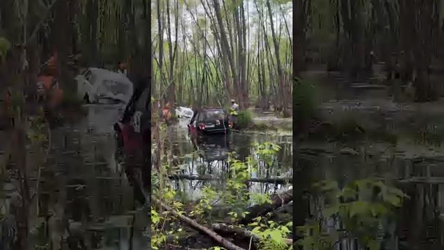 VID-20240518-WA0111