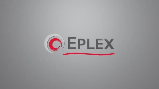 Отзыв управляющего компанией Евромоторс о работе с компанией Eplex