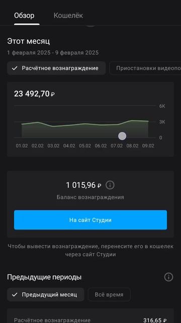 сколько платит рутуб, монетизация