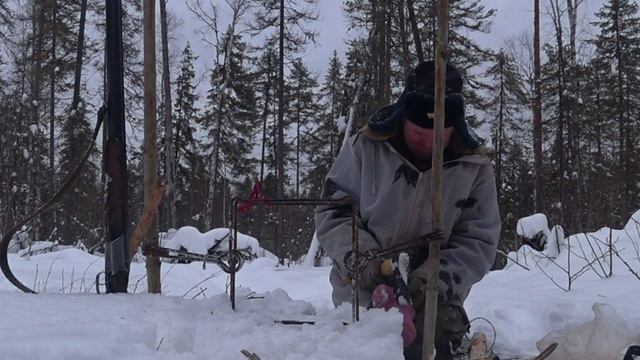 Китайский тапок в капкане