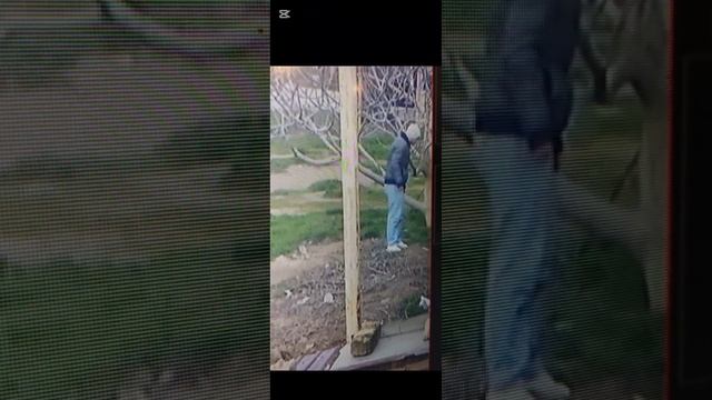 Терпение мое лопнуло. Завтра иду в полицию