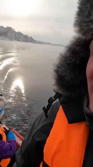 Врезался в айсберг #shibargan #юмор #прикол