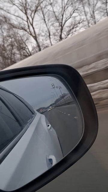 1000003266.mp4