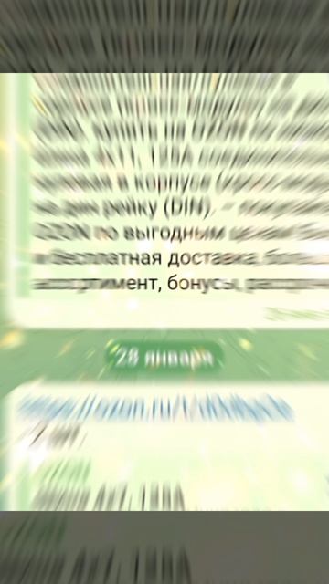 1000015292.mp4 (Собака смотрит на электроснабжение дома А-фрейм)
