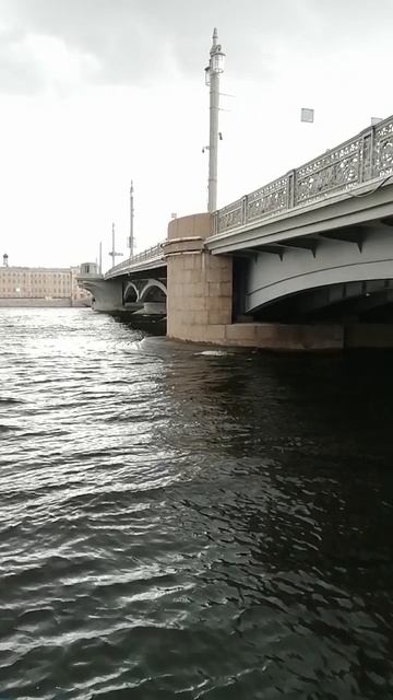 Спуск к Неве у Благовещенского моста со стороны Университетской набережной.