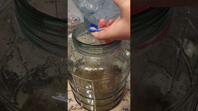 Анисовый мацерат